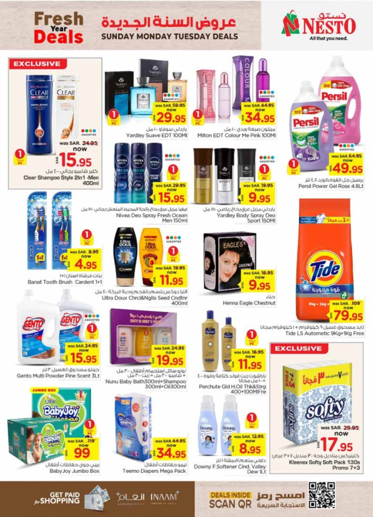 nesto-promotions-january-5-2025-5