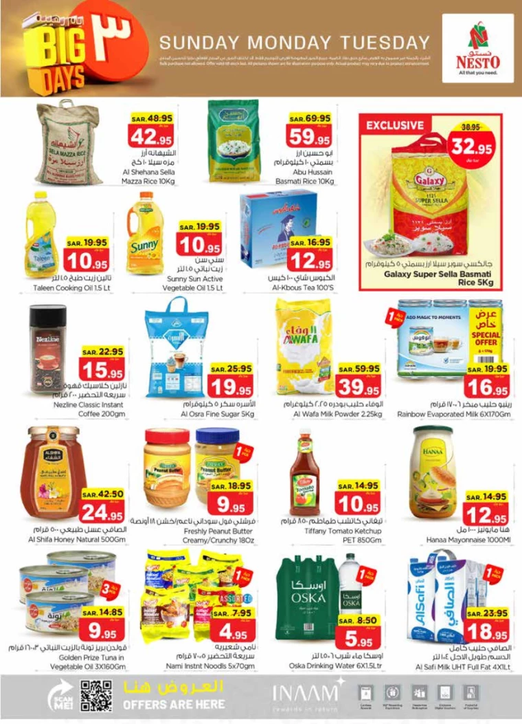 nesto-promotions-july-14-2024-3