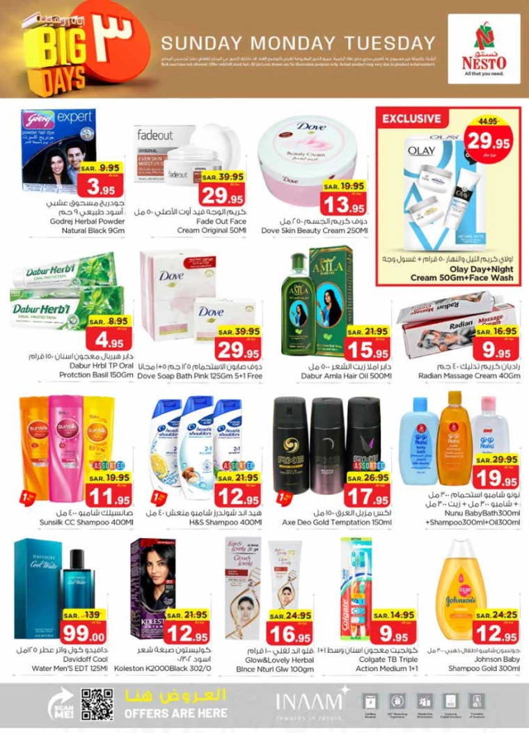 nesto-promotions-july-14-2024-5