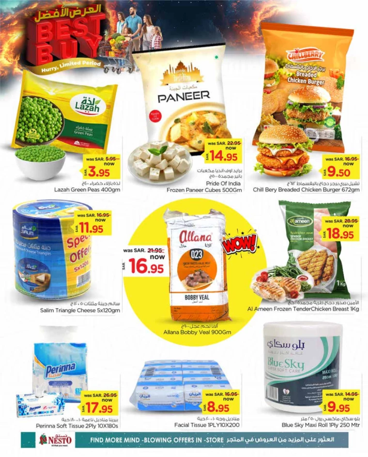 nesto-promotions-december-12-2024-17-2