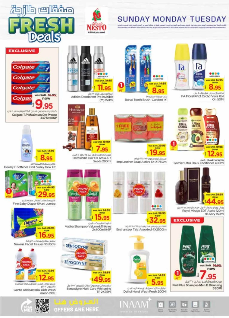 nesto-offers-december-15-2024-5