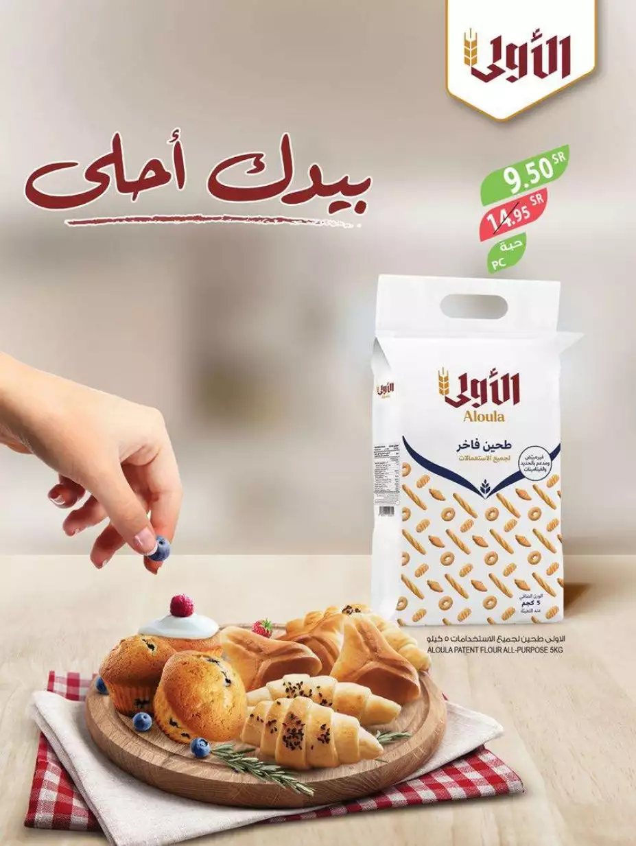 great offers 1 november - city flower sakaka