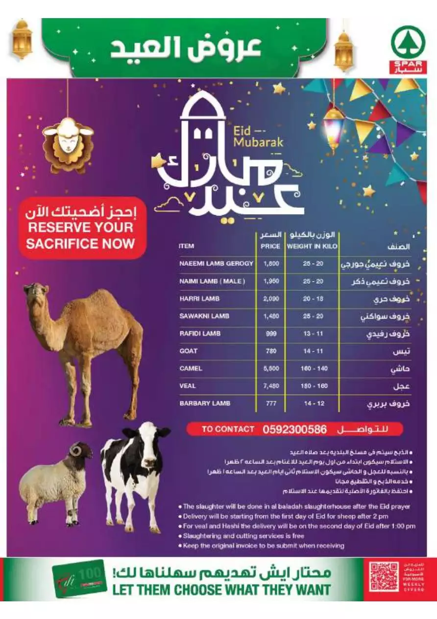عروض رائعة 1 نوفمبر - سيتى فلاور الجبيل