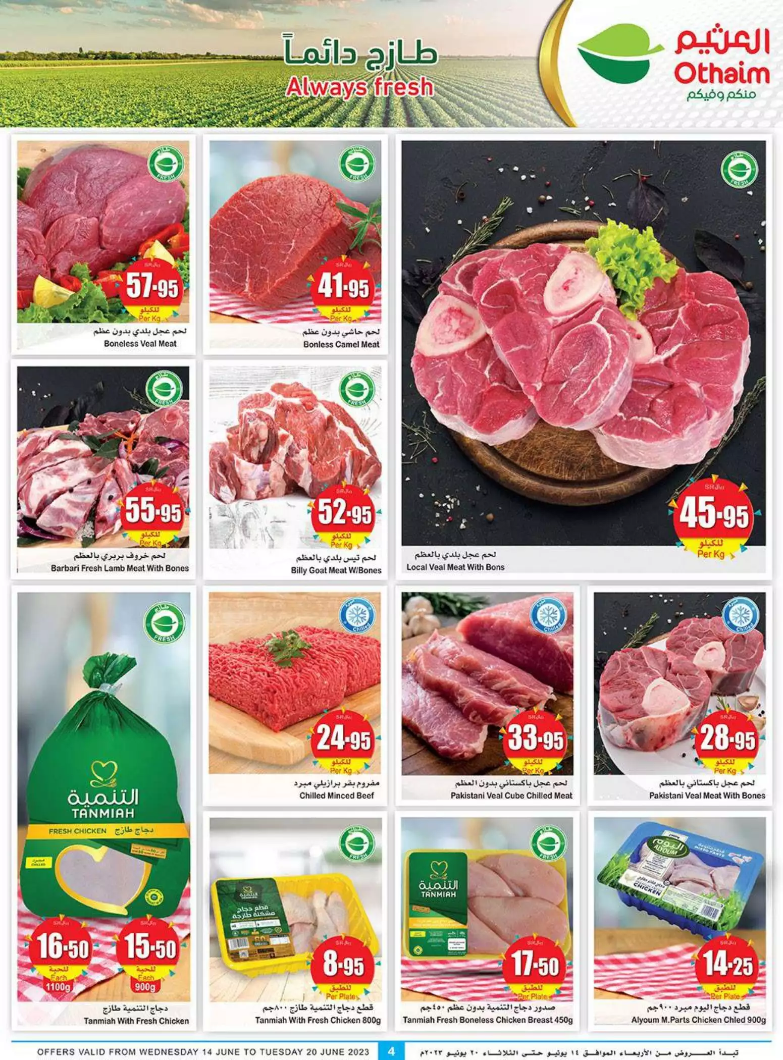 great offers 25th october - city flower