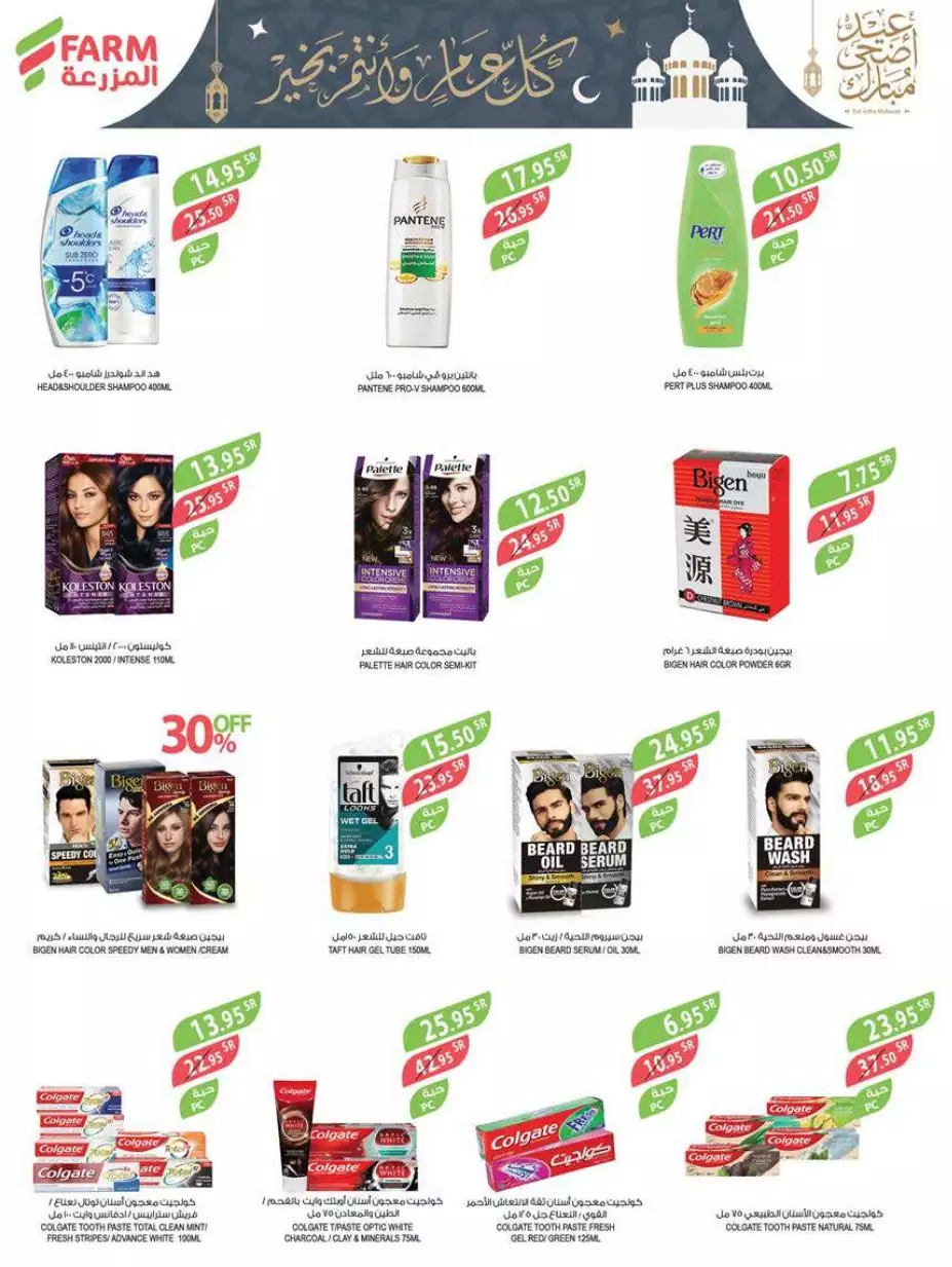 great offers 1 november - city flower sakaka