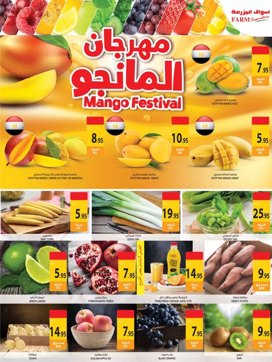 عروض الميزانية 27 سبتمبر - نستو الدمام