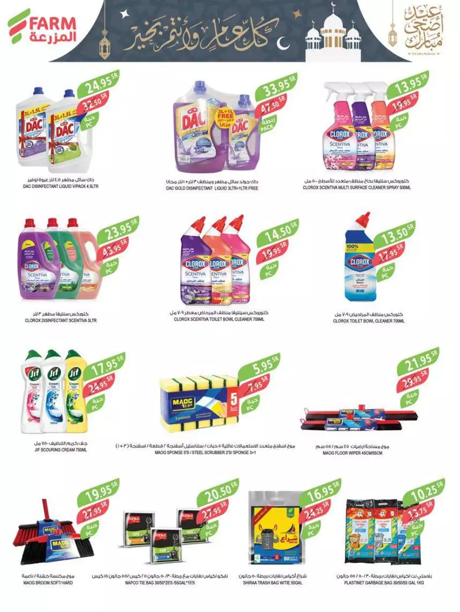 great offers 1 november - city flower sakaka