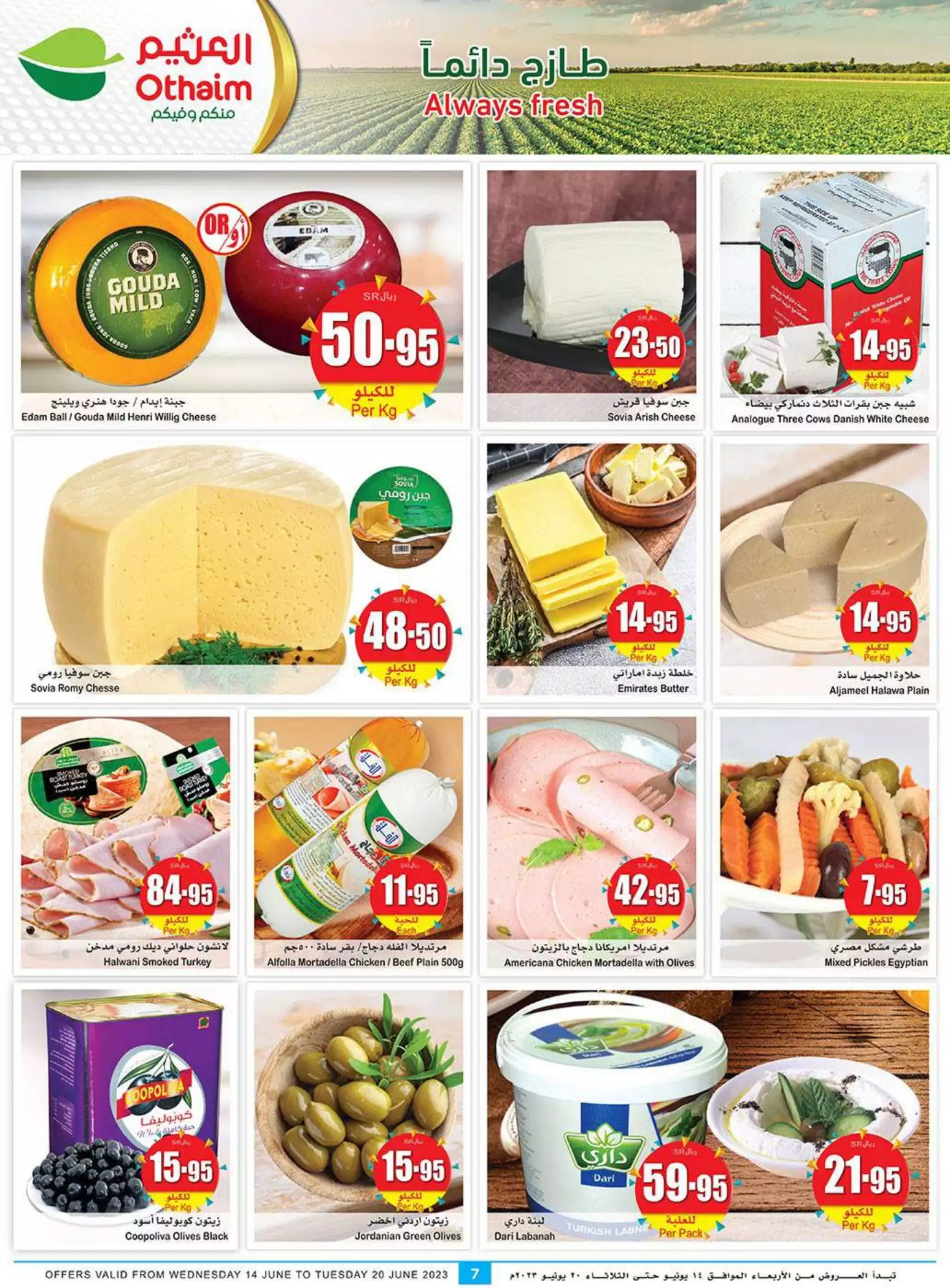 great offers 25th october - city flower
